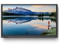 Newline TruTouch TT-6519RS+ | Monitor interaktywny 65"